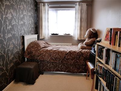 Picture 13